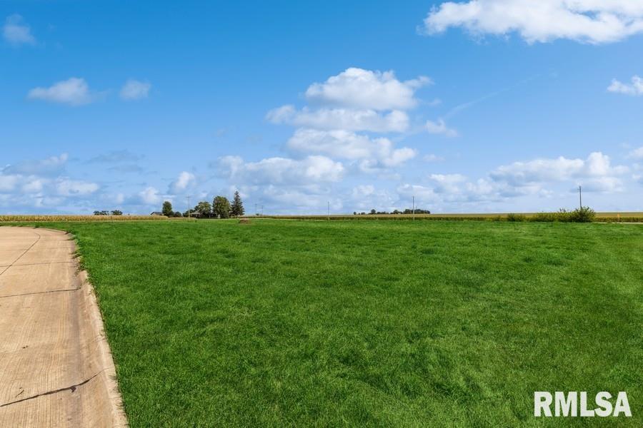 Lot 4 Hendricks Street New Liberty, IA 52765 - Photo 12 of 32