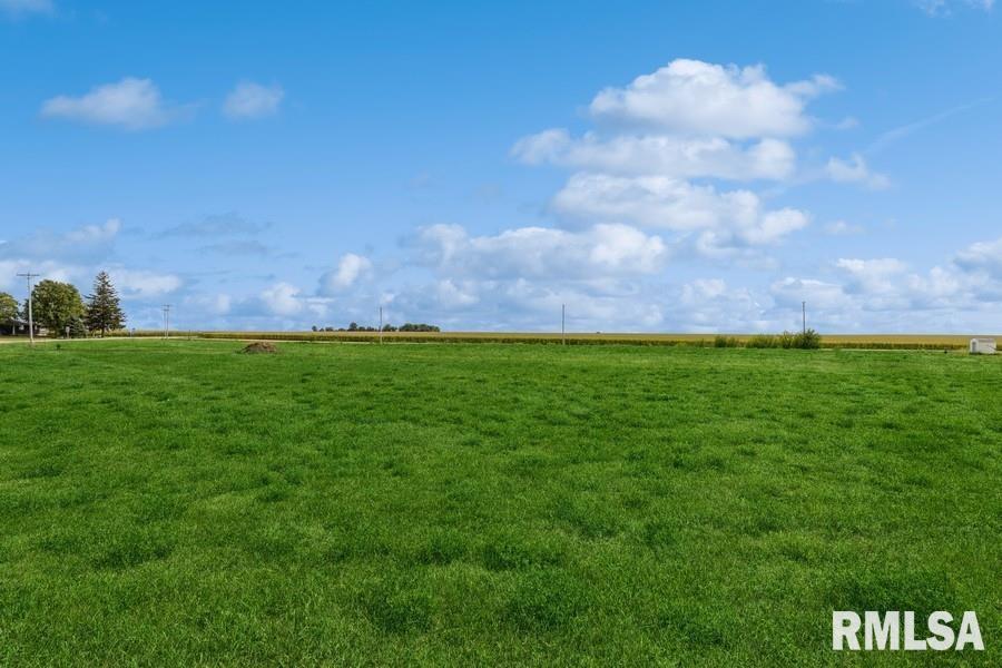 Lot 4 Hendricks Street New Liberty, IA 52765 - Photo 15 of 32