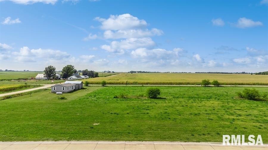Lot 4 Hendricks Street New Liberty, IA 52765 - Photo 19 of 32