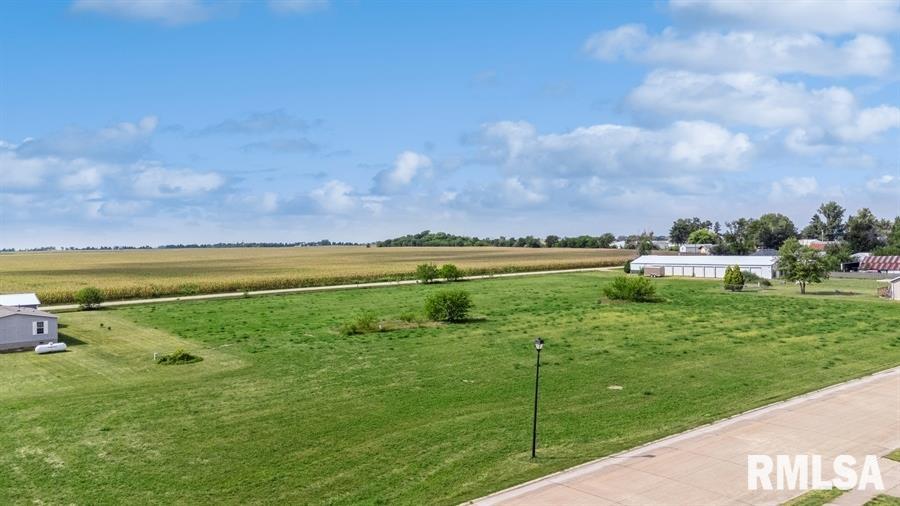 Lot 4 Hendricks Street New Liberty, IA 52765 - Photo 20 of 32