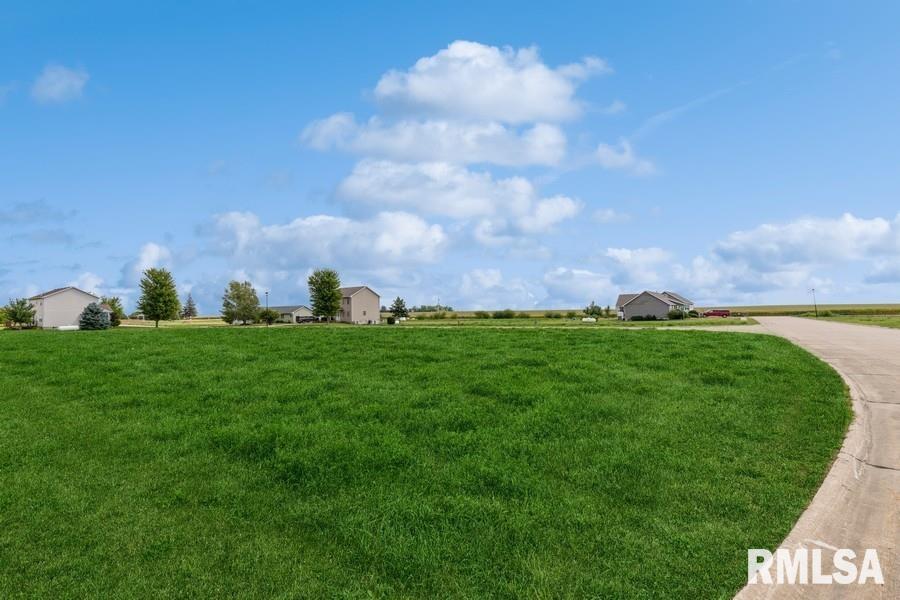 Lot 4 Hendricks Street New Liberty, IA 52765 - Photo 2 of 32