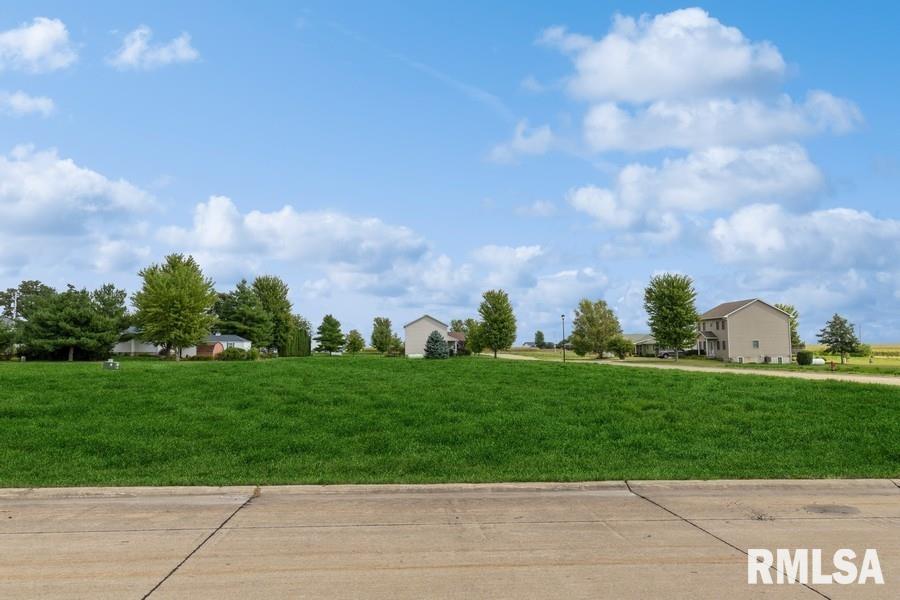 Lot 4 Hendricks Street New Liberty, IA 52765 - Photo 3 of 32