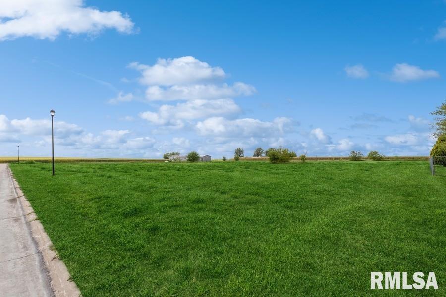 Lot 4 Hendricks Street New Liberty, IA 52765 - Photo 4 of 32