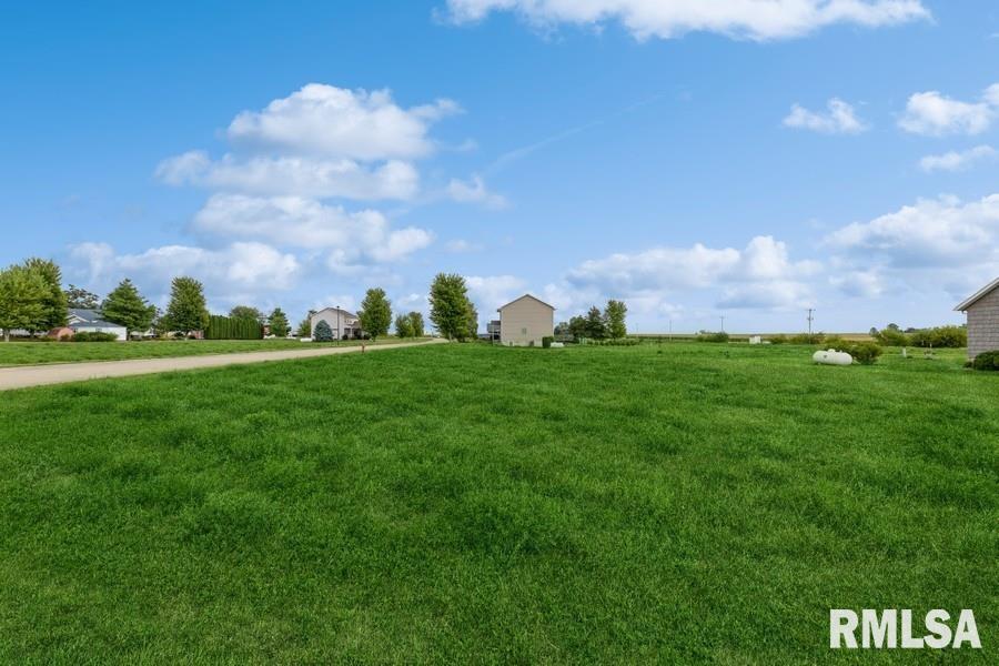 Lot 4 Hendricks Street New Liberty, IA 52765 - Photo 5 of 32