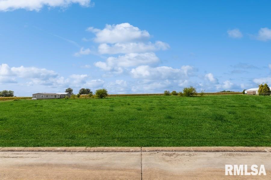 Lot 4 Hendricks Street New Liberty, IA 52765 - Photo 6 of 32