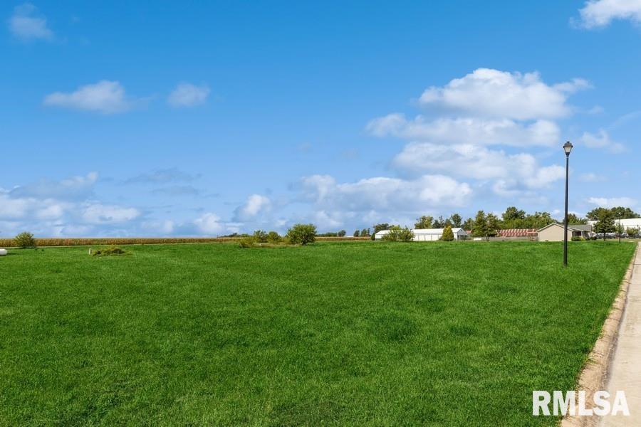 Lot 4 Hendricks Street New Liberty, IA 52765 - Photo 7 of 32