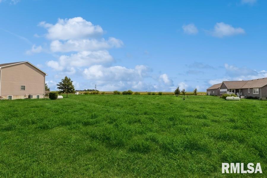 Lot 4 Hendricks Street New Liberty, IA 52765 - Photo 8 of 32
