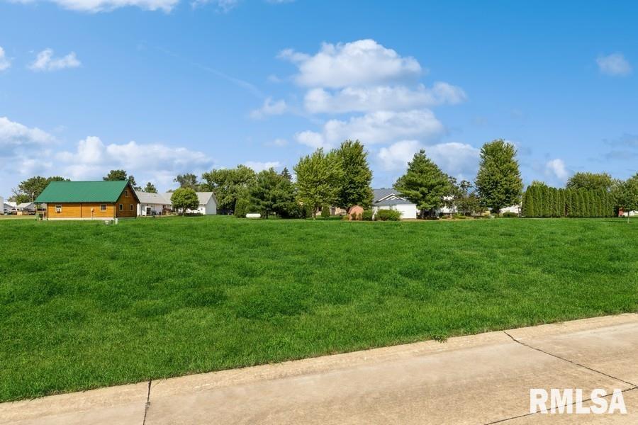 Lot 4 Hendricks Street New Liberty, IA 52765 - Photo 9 of 32
