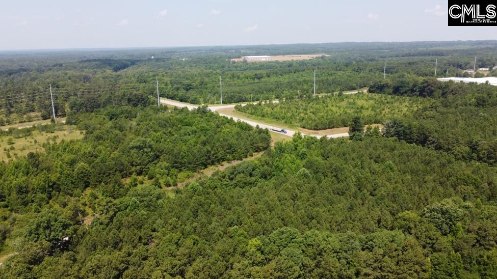 4129 Peach Road Ridgeway, SC 29130 - Photo 29 of 33