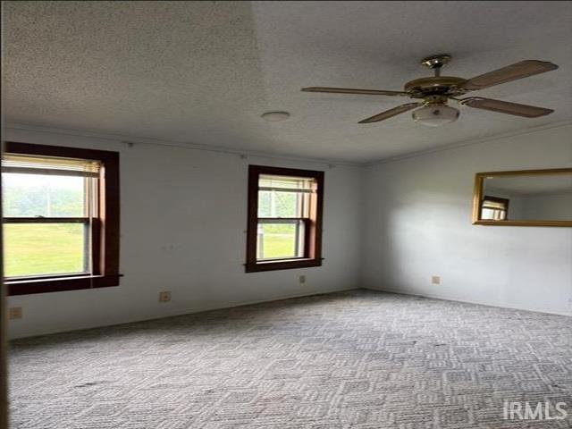 570 East Tennyson Road Boonville, IN 47601 - Photo 6 of 11