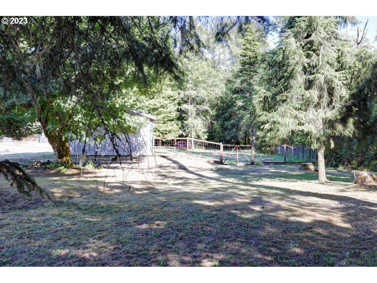 6314 Sandridge Road Long Beach, WA 98631 - Photo 22 of 24 a view of a yard with large trees