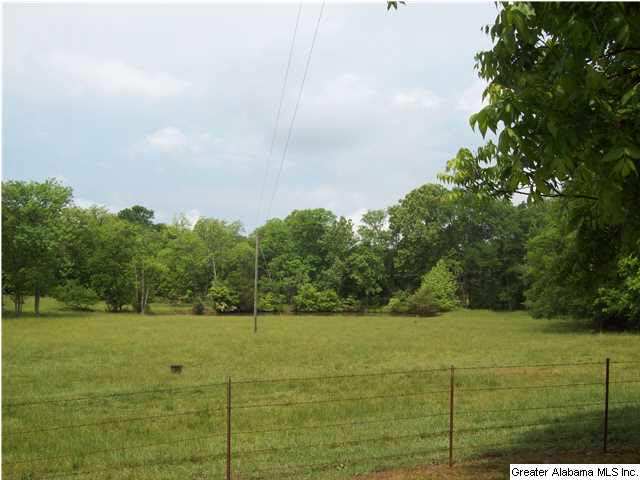 2788 Cox Cove Road Hayden, AL 35079 - Photo 8 of 32