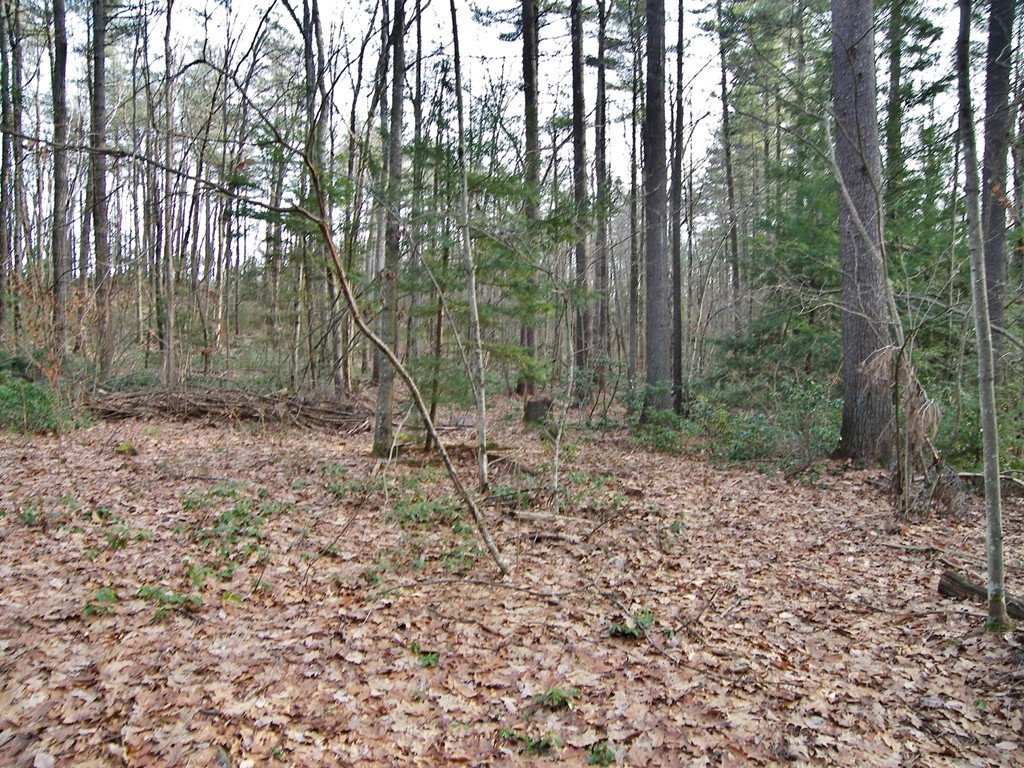 Lot 0 Federal Hill Road Hollis, NH 03049 - Photo 6 of 7 Gallery Image 6