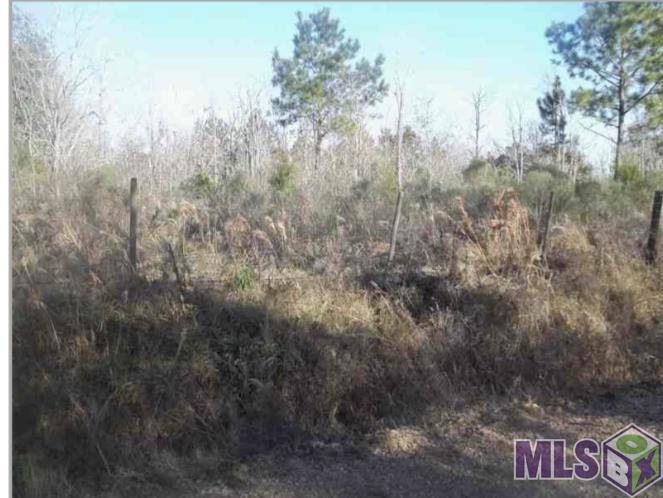 Tbd Sonnier Road Church Point, LA 70525 - Photo 2 of 3 Gallery Image 2