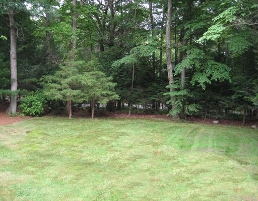 44 Page Road Lincoln, MA 01773 - Photo 10 of 11