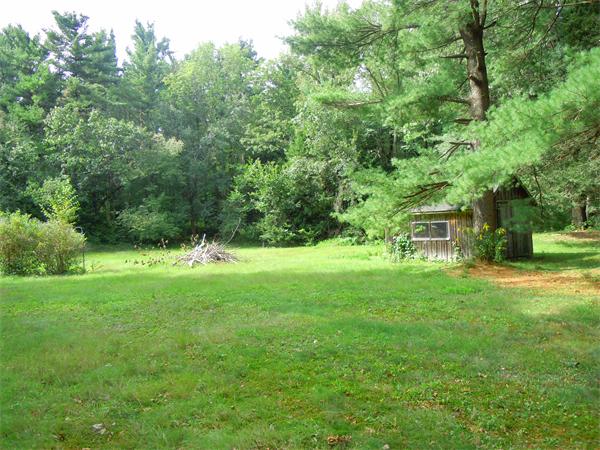 94 Bolton Road Harvard, MA 01451 - Photo 20 of 21 a view of a trees in a yard
