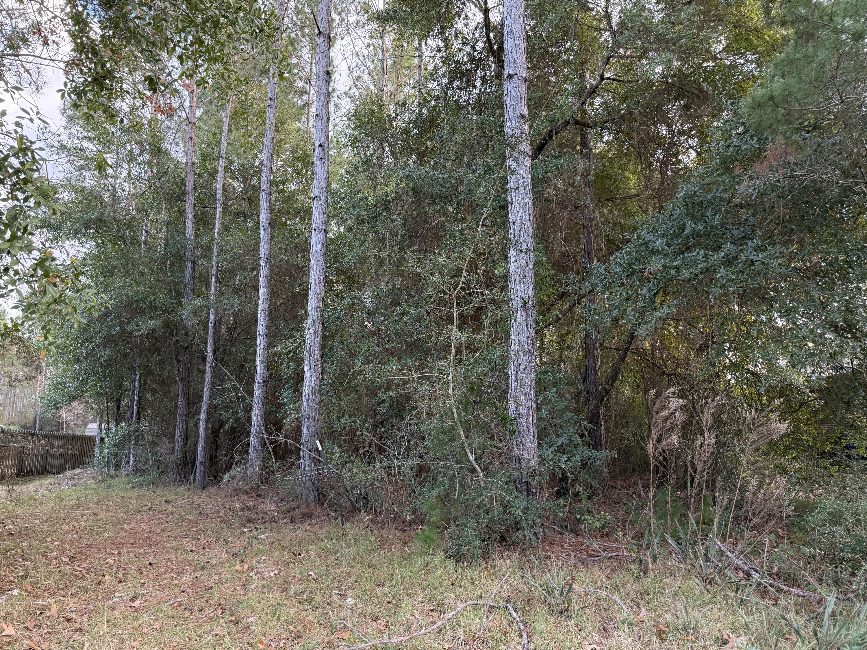 Lot 23 Whispering Way Freeport, FL 32439 - Photo 2 of 15 Lot 23 Sounds 2