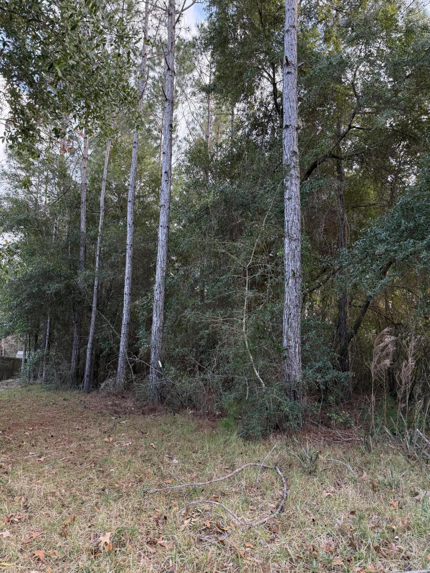 Lot 23 Whispering Way Freeport, FL 32439 - Photo 3 of 15 Lot 23 Sounds