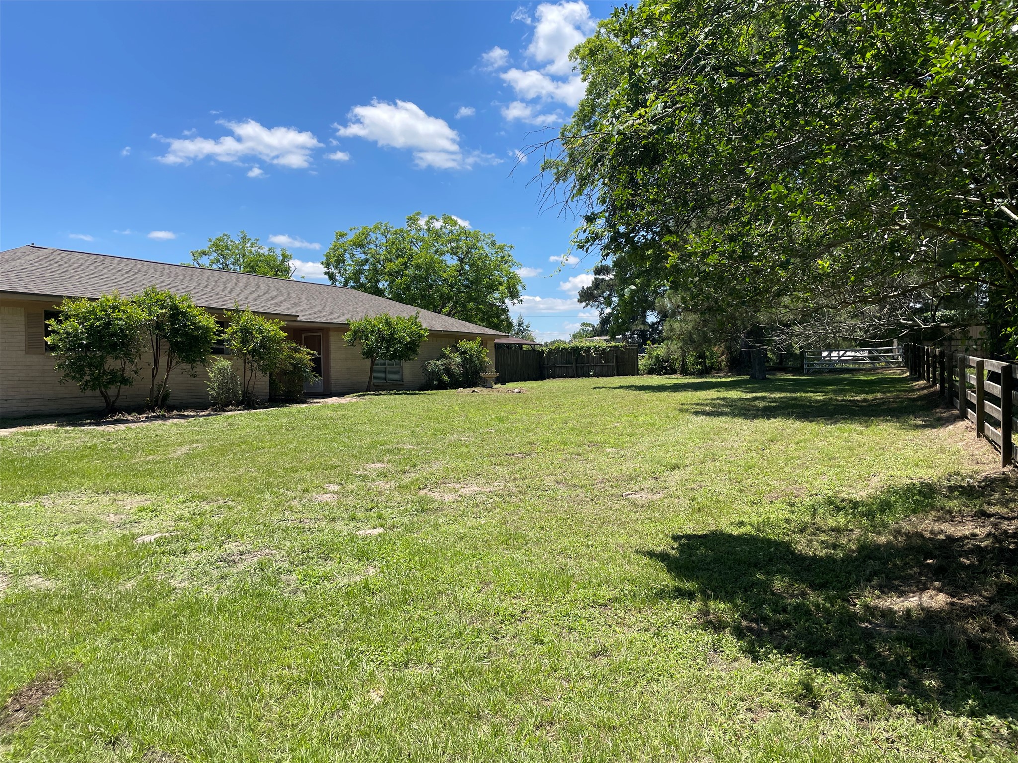 19439 Keenan Cut Off Road Montgomery, TX 77316 - Photo 3 of 39 Spacious front yard with lush greenery and mature trees