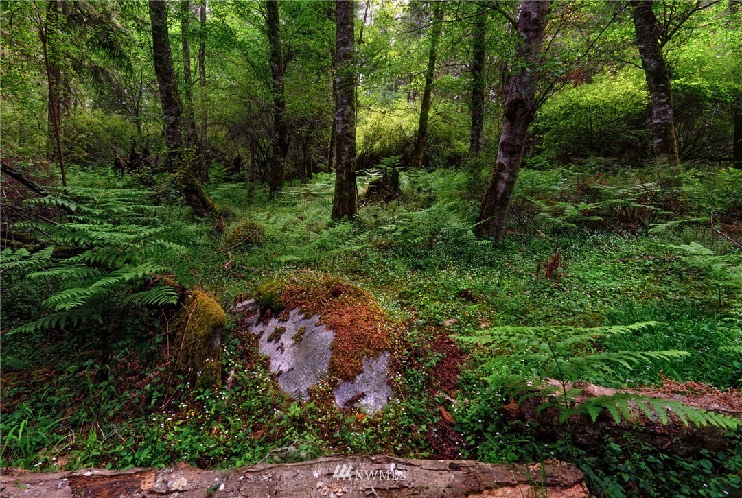 -xx Port Stanley Road Lopez Island, WA 98261 - Photo 3 of 10 Gallery Image 3