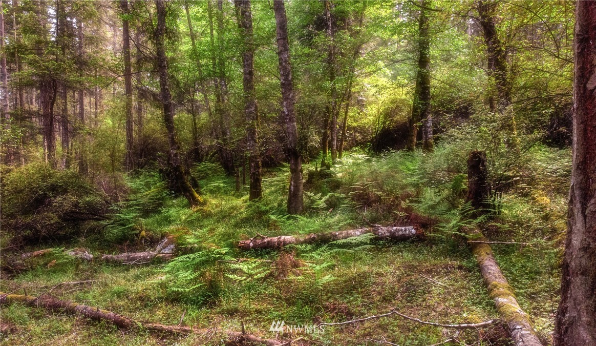 -xx Port Stanley Road Lopez Island, WA 98261 - Photo 4 of 10 Gallery Image 4
