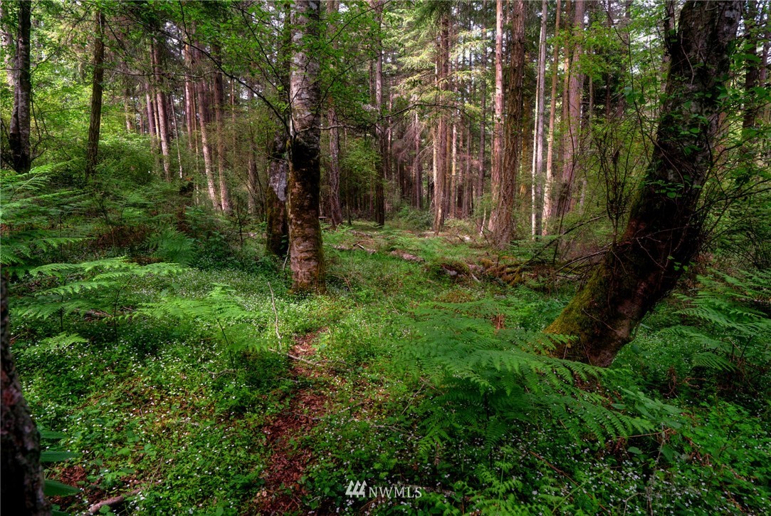 -xx Port Stanley Road Lopez Island, WA 98261 - Photo 7 of 10 Gallery Image 7