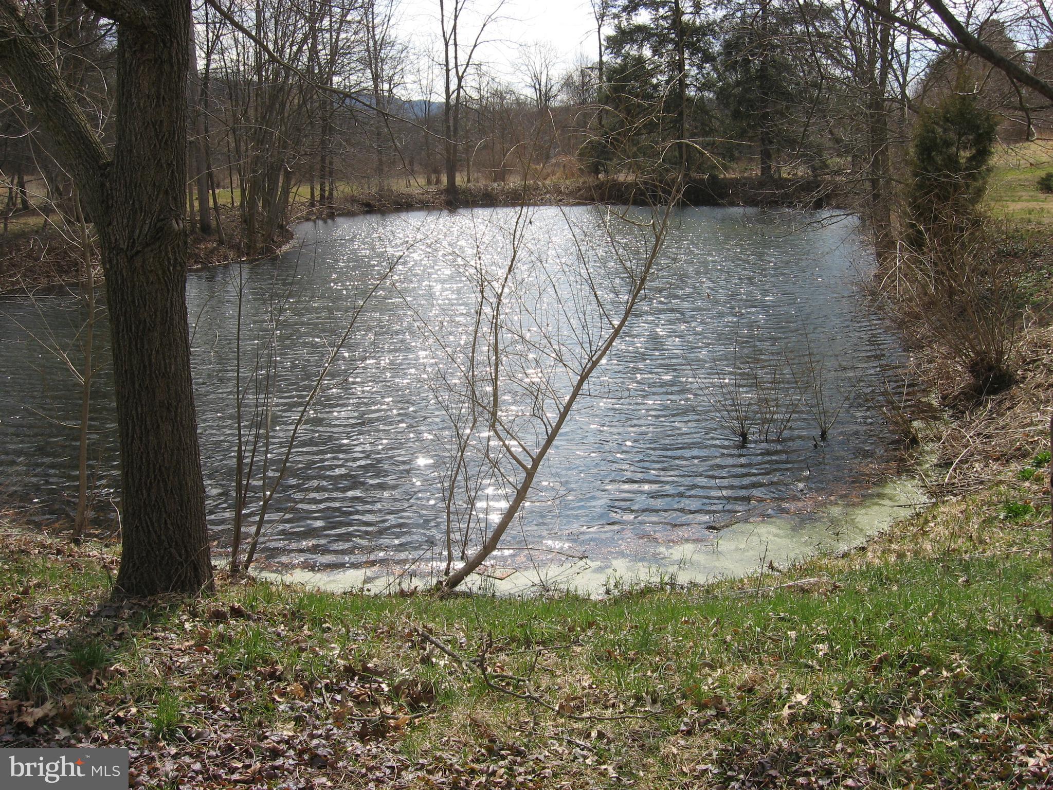 2 Stonehouse Road Elliottsburg, PA 17024 - Photo 22 of 25 Pond