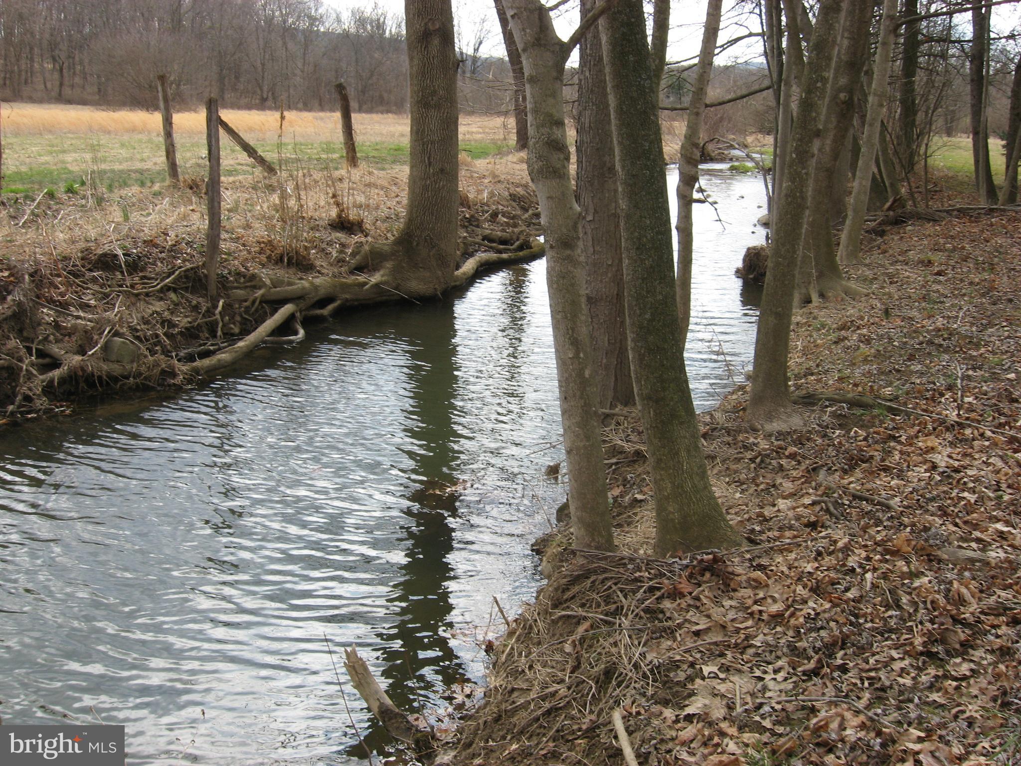 2 Stonehouse Road Elliottsburg, PA 17024 - Photo 23 of 25 Stream