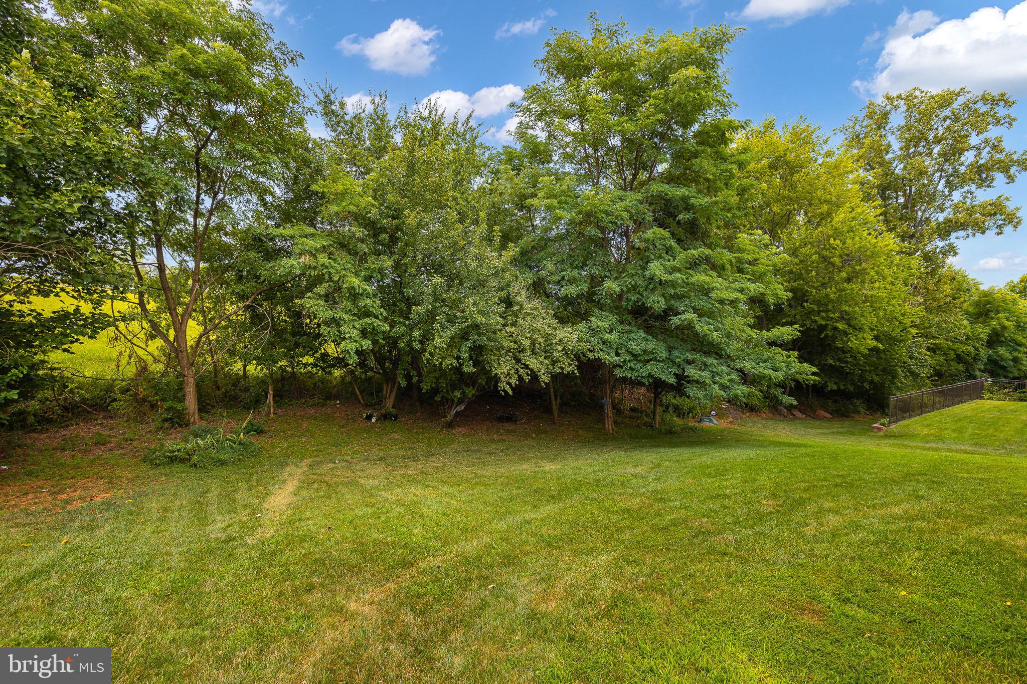 833 Kingsbrook Road Culpeper, VA 22701 - Photo 51 of 53 Gallery Image 51