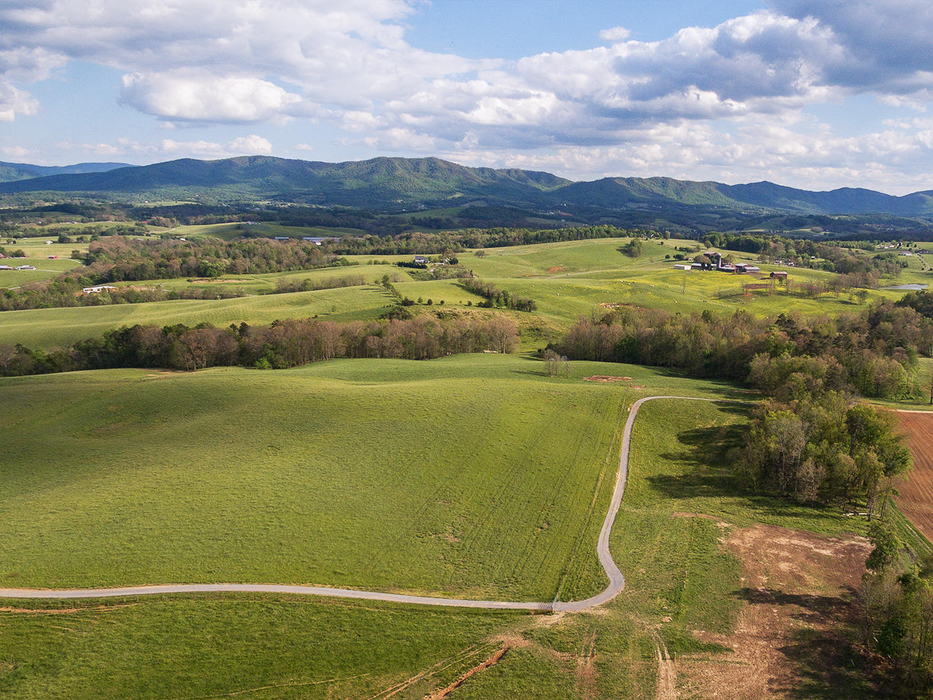 3102 West Allens Bridge Road Greeneville, TN 37743 - Photo 11 of 65 D&V-Ricker-3102-W-Allens-Bridge-Aerial_0