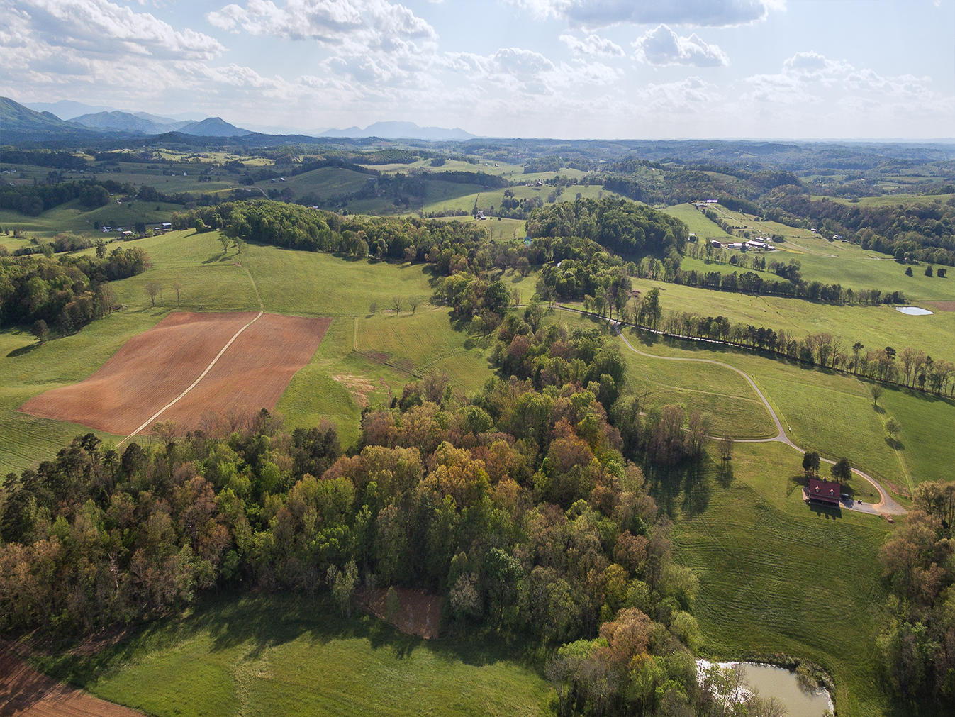 3102 West Allens Bridge Road Greeneville, TN 37743 - Photo 12 of 65 D&V-Ricker-3102-W-Allens-Bridge-Aerial_0