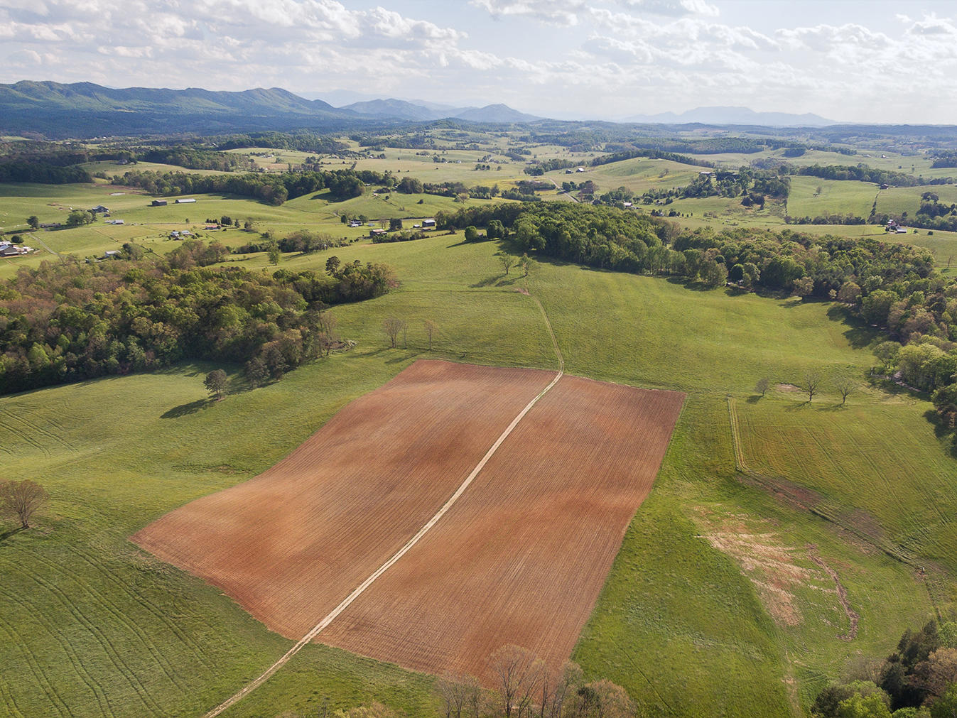 3102 West Allens Bridge Road Greeneville, TN 37743 - Photo 16 of 65 D&V-Ricker-3102-W-Allens-Bridge-Aerial_0