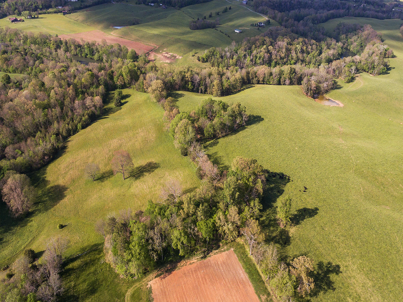 3102 West Allens Bridge Road Greeneville, TN 37743 - Photo 18 of 65 D&V-Ricker-3102-W-Allens-Bridge-Aerial_0