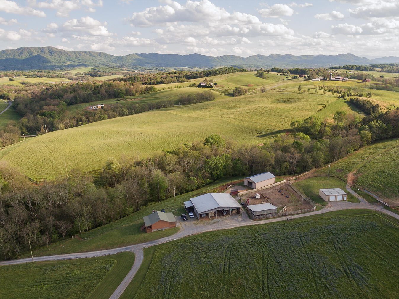 3102 West Allens Bridge Road Greeneville, TN 37743 - Photo 19 of 65 D&V-Ricker-3102-W-Allens-Bridge-Aerial_0