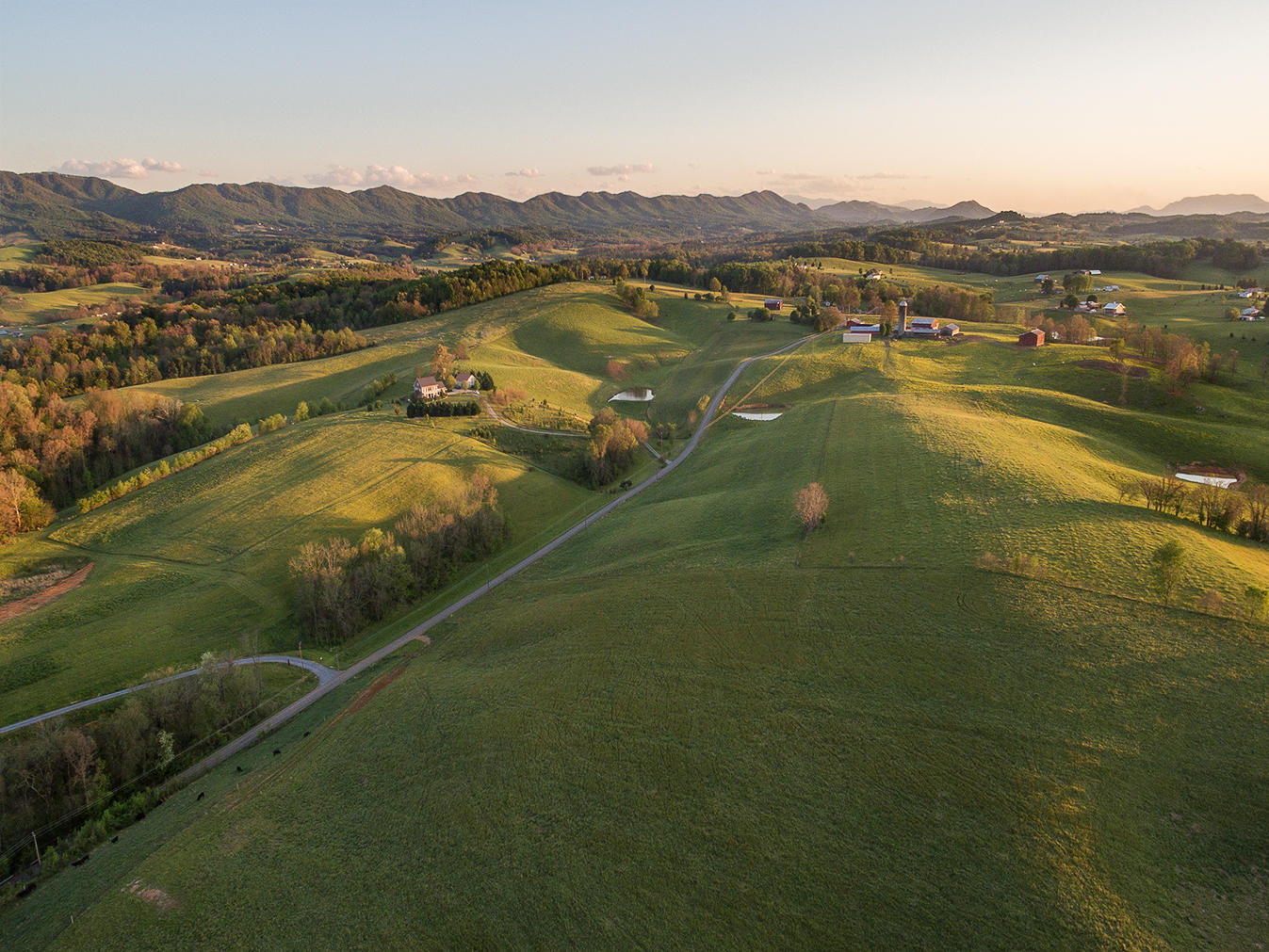3102 West Allens Bridge Road Greeneville, TN 37743 - Photo 22 of 65 D&V-Ricker-3102-W-Allens-Bridge-Aerial_0