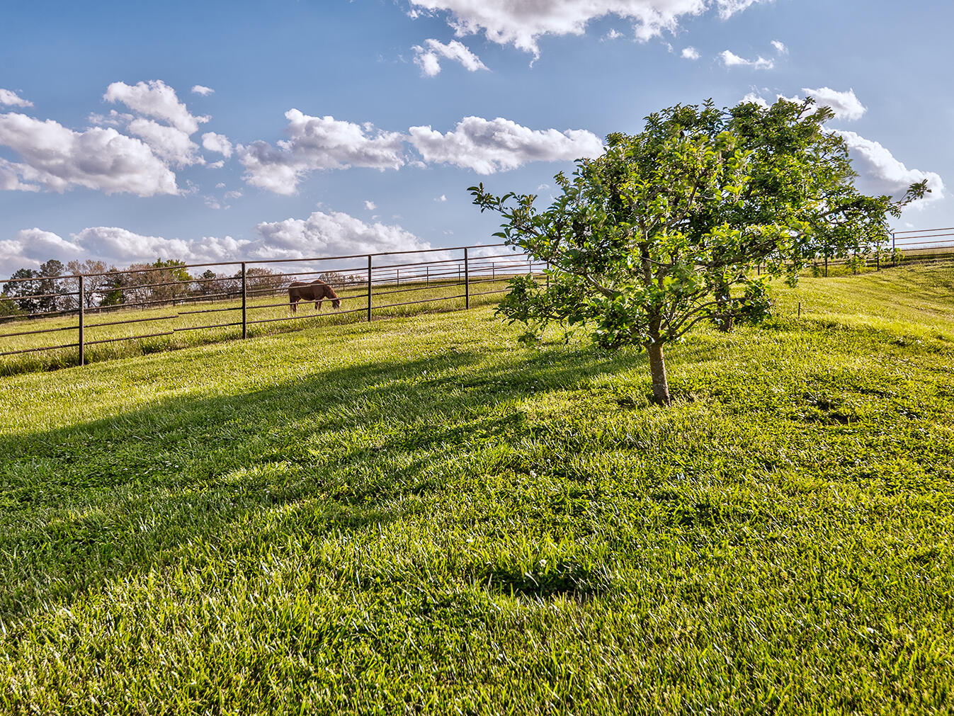 3102 West Allens Bridge Road Greeneville, TN 37743 - Photo 50 of 65 D&V-Ricker-3102-W-Allens-Bridge-Exterior