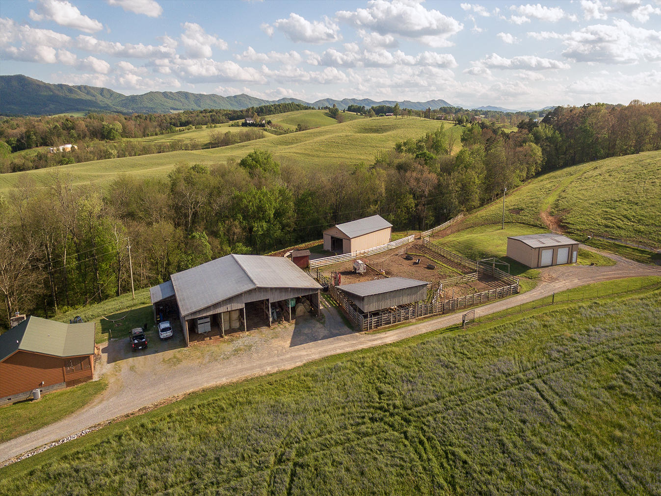 3102 West Allens Bridge Road Greeneville, TN 37743 - Photo 7 of 65 D&V-Ricker-3102-W-Allens-Bridge-Aerial_0
