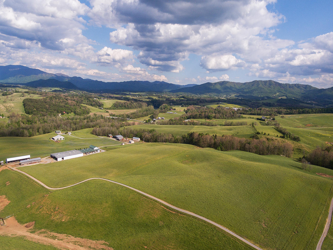 3102 West Allens Bridge Road Greeneville, TN 37743 - Photo 10 of 65 D&V-Ricker-3102-W-Allens-Bridge-Aerial_0