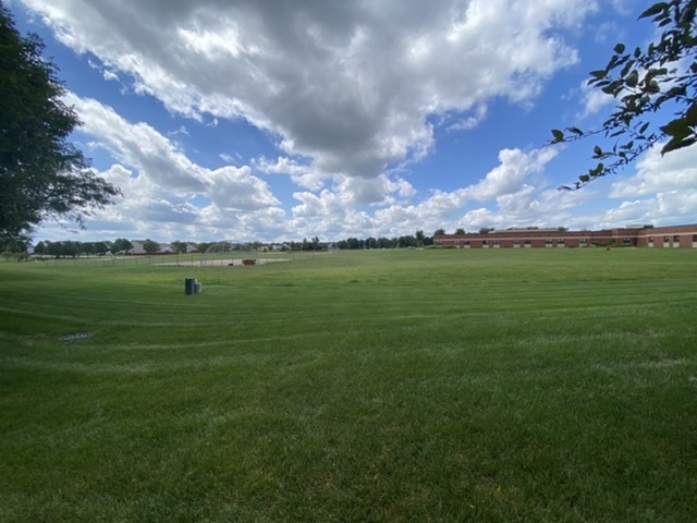 3739 Munson Street Plano, IL 60545 - Photo 19 of 21 a view of a big yard with a large tree