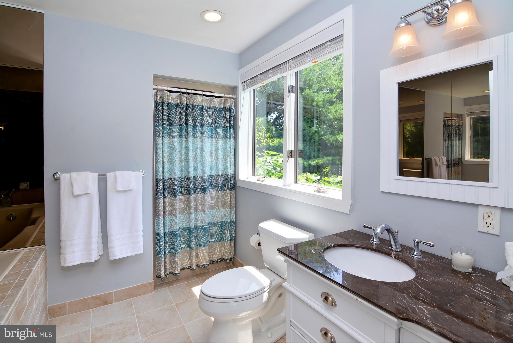 401 Old Point Road Chester, MD 21619 - Photo 18 of 28 a bathroom with a granite countertop sink and a mirror