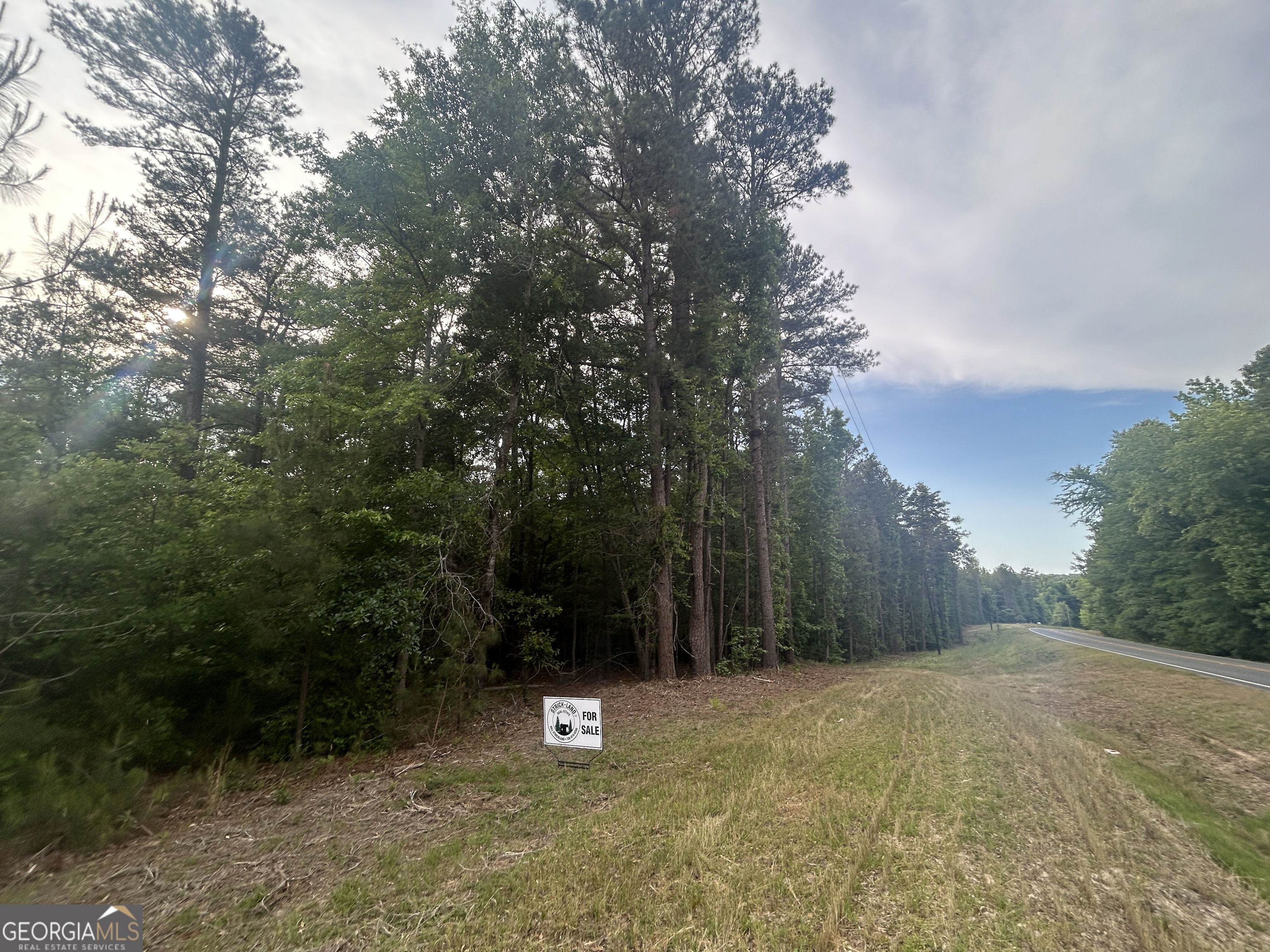 0 Sparta Road Southeast Crawfordville, GA 30631 - Photo 3 of 4