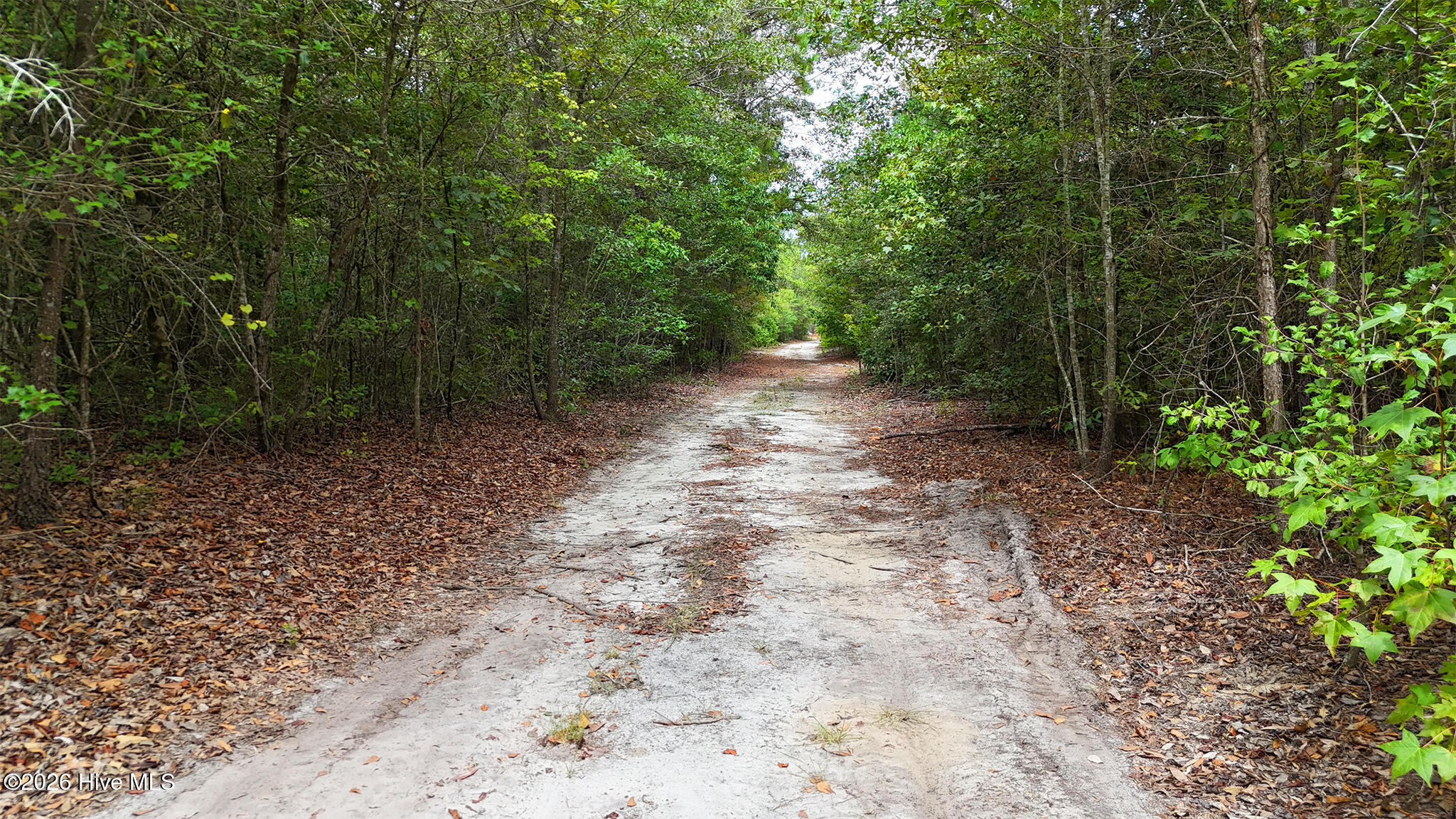 5 Bull Tail Road Wallace, NC 28466 - Photo 12 of 17 Gallery Image 12