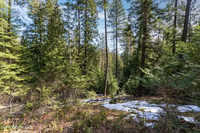 $649,900 | Nka North Union Avenue, Newport, WA 99156