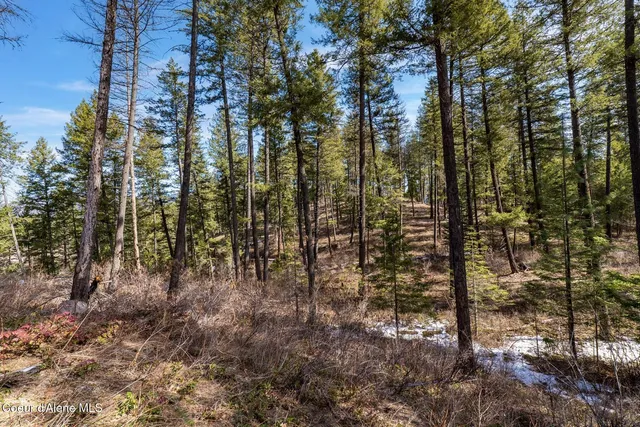 $649,900 | Nka North Union Avenue, Newport, WA 99156