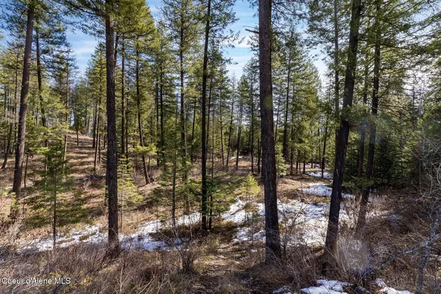 $649,900 | Nka North Union Avenue, Newport, WA 99156