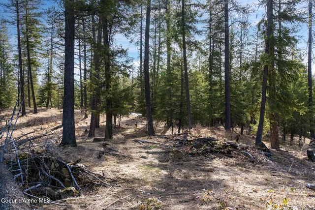 $649,900 | Nka North Union Avenue, Newport, WA 99156