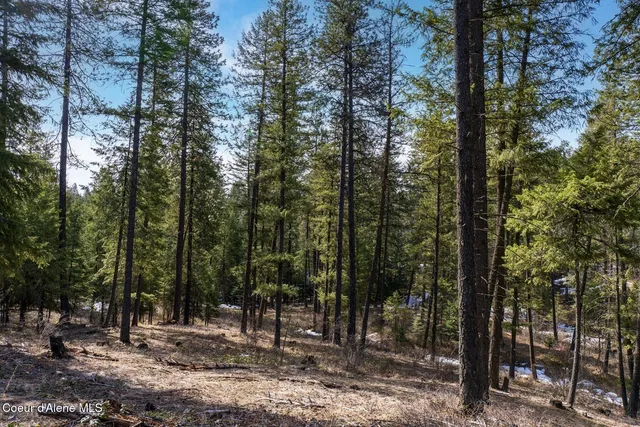 $649,900 | Nka North Union Avenue, Newport, WA 99156