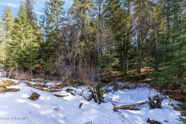 $649,900 | Nka North Union Avenue, Newport, WA 99156