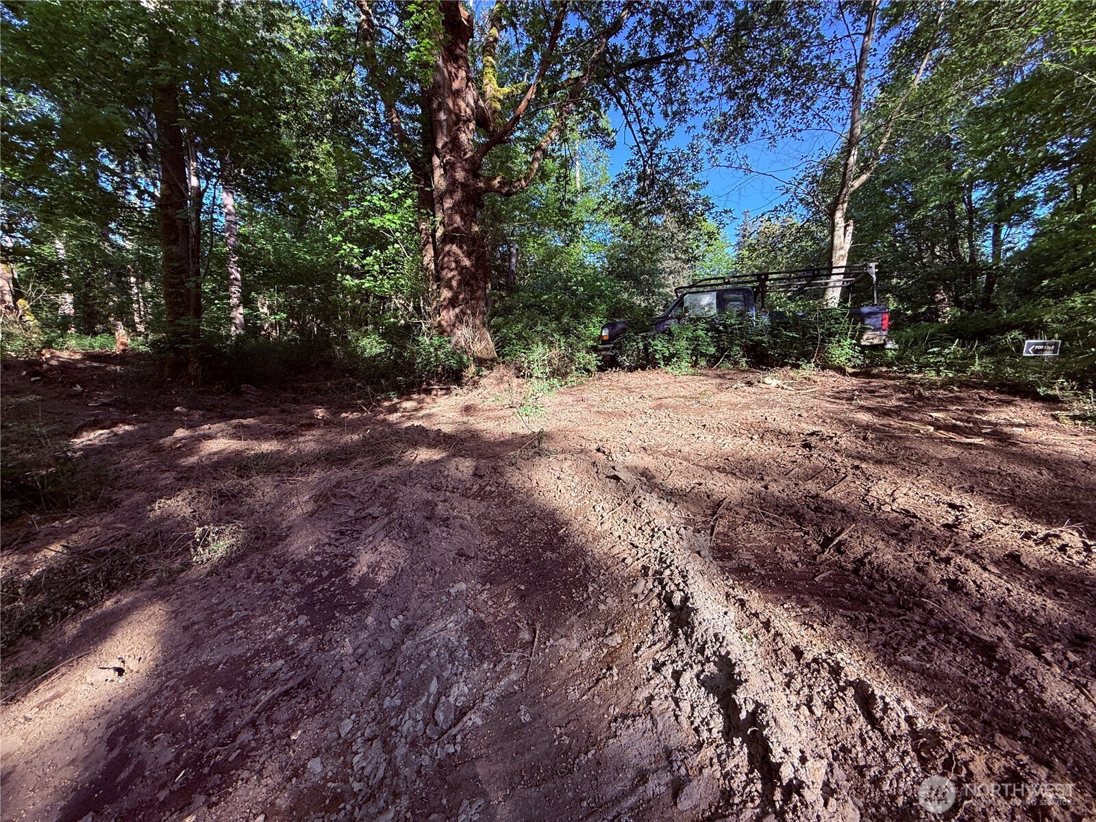 75 F Beach Way Everett, WA 98201 - Photo 1 of 27 a view of dirt yard with a large tree