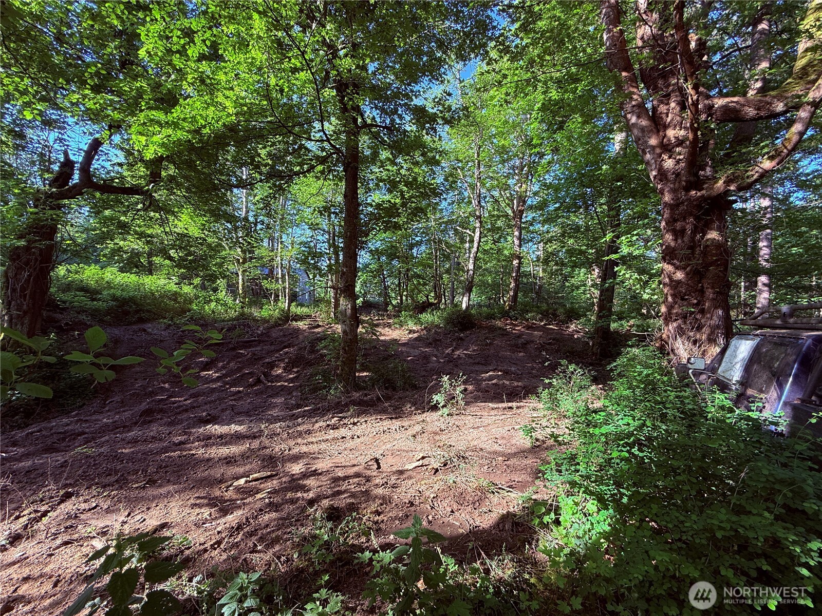 75 F Beach Way Everett, WA 98201 - Photo 2 of 27 a view of a forest with trees